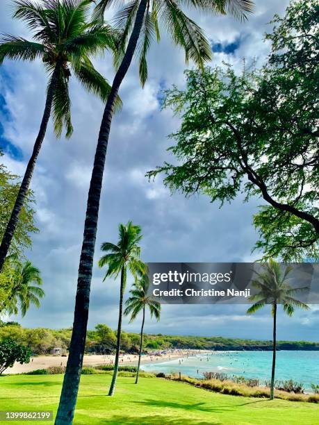 hapuna beach- hawaii - big island hawaii islands stock-fotos und bilder