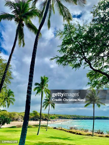 hapuna beach- hawaii - het grote eiland hawaï eilanden stockfoto's en -beelden