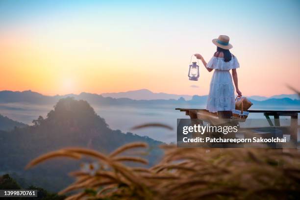 girl in garden - chiang rai province stock pictures, royalty-free photos & images