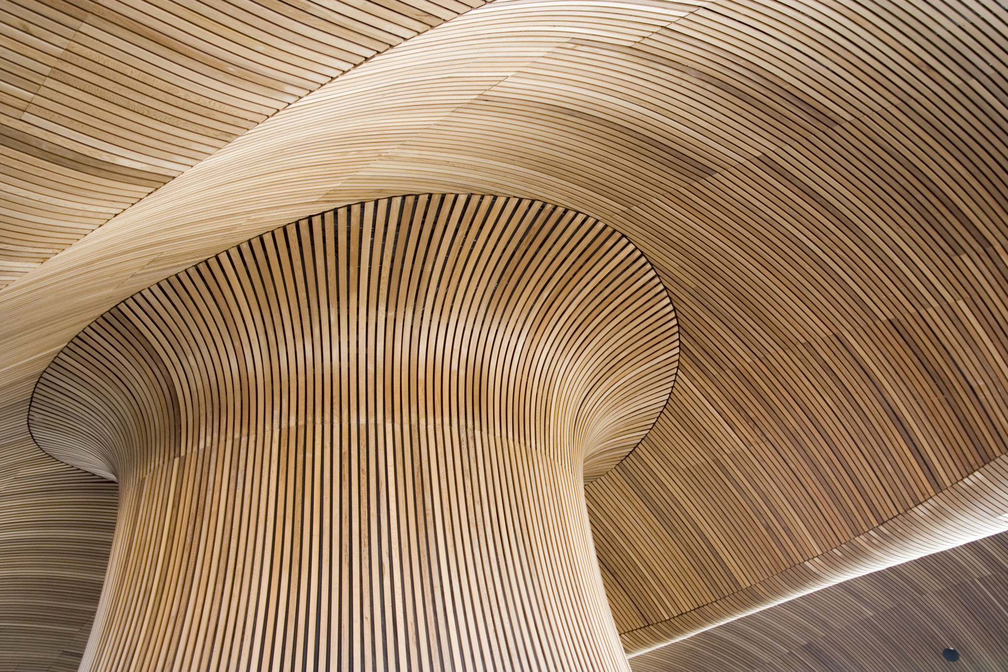 modern wooden
