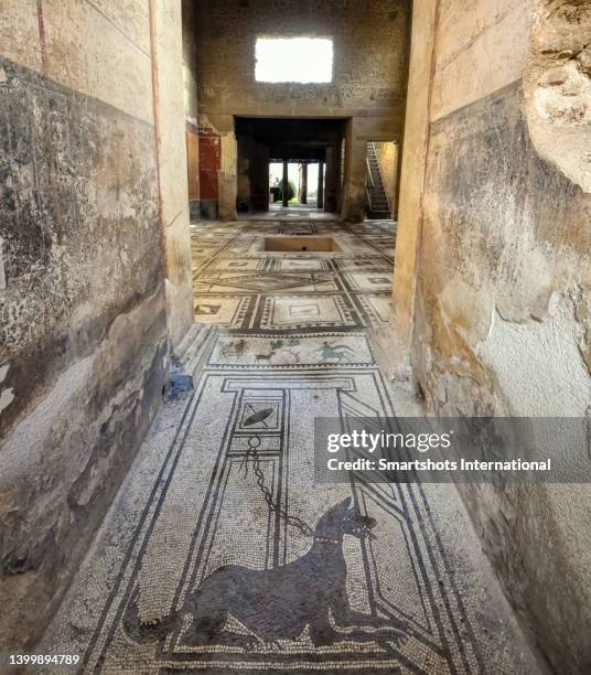 roman mosaic with "beware of the dog" sign ("cave cavem") in pompeii, campania, italy - warnschild hund stock-fotos und bilder