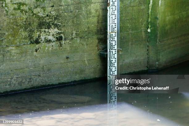 river during drought in seine et marne, france - terra brulla foto e immagini stock