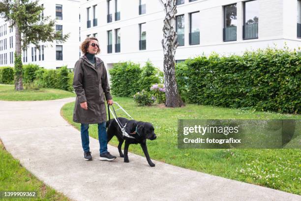 assistance dog guides a blind woman through a residential area - independence stock pictures, royalty-free photos & images