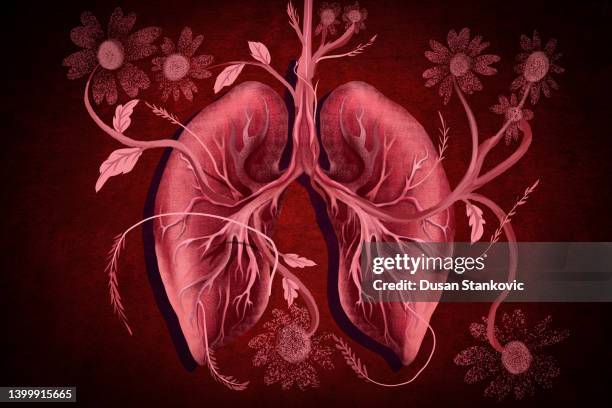 stockillustraties, clipart, cartoons en iconen met the look of lungs after regenerating from covid-19 - inhaling