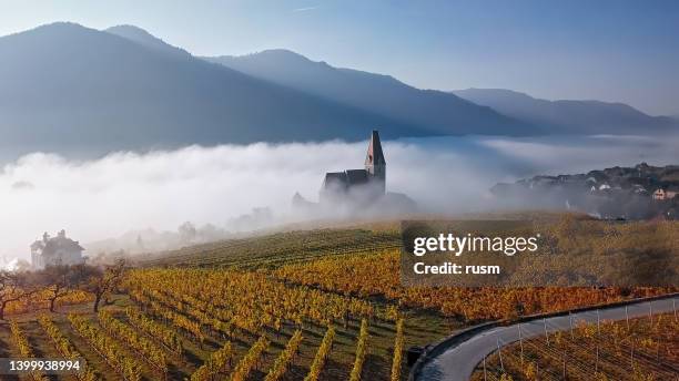 aerial panorama of weisenkirchen in der wachau vineyards at autumn morning with fog over danube river. wachau valley, austria - dürnstein stock pictures, royalty-free photos & images