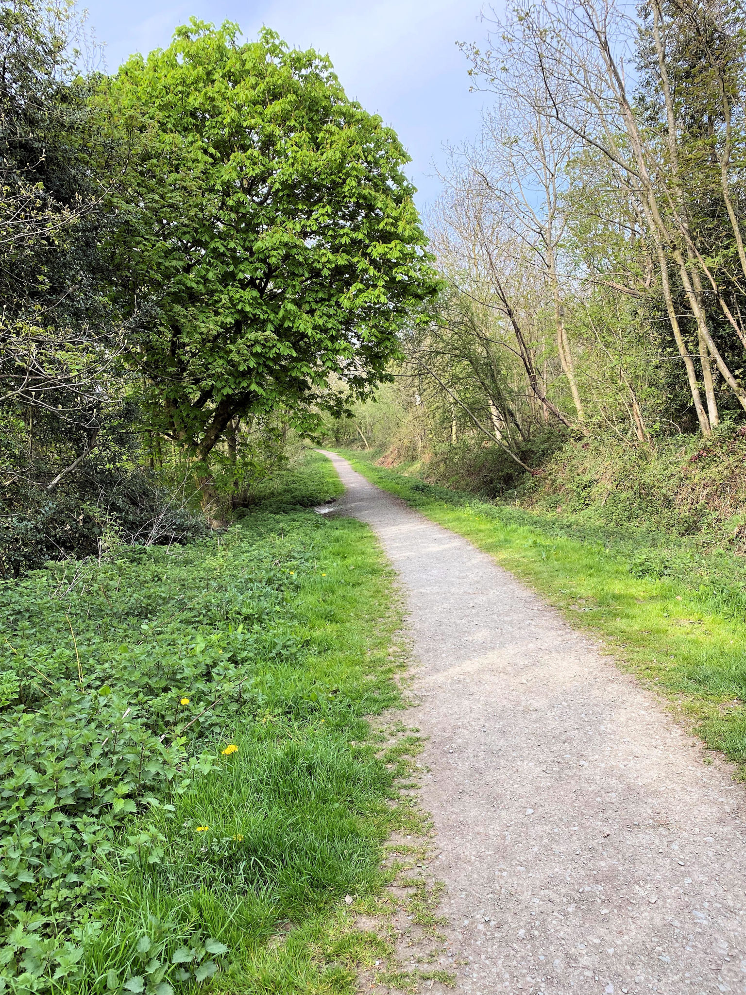 ercall trail