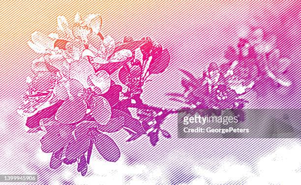 アップルブロッサム - 桜の樹点のイラスト素材／クリップアート素材／マンガ素材／アイコン素材