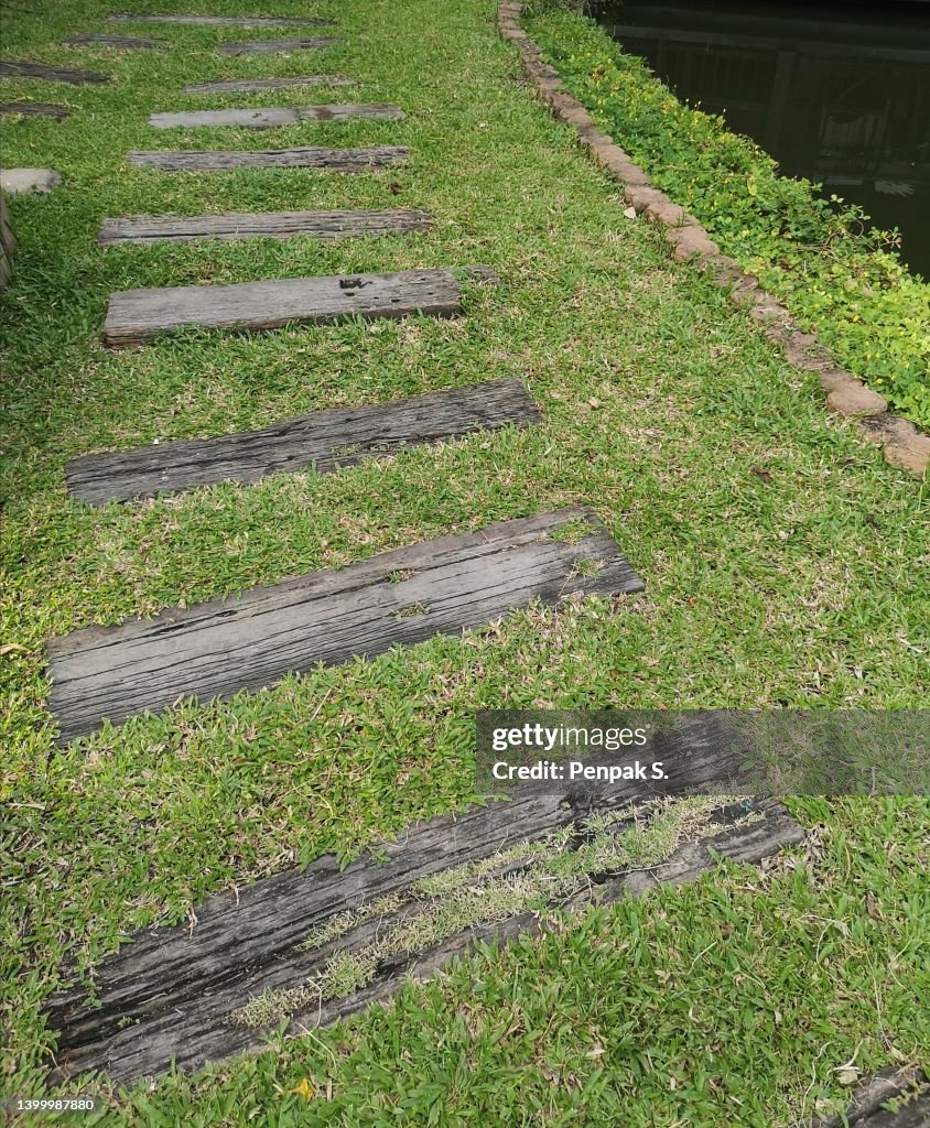 Children Embedded Log Path Logs Timber Embedded In The Green Grass Make A Path Corridor In Garden ...