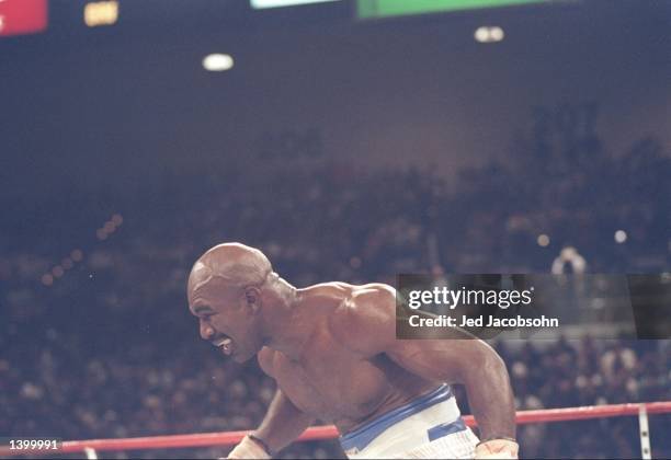 Holyfield Ripped 149 Box Holyfield Tyson Action Stock Photos, High-Res Pictures, and ...