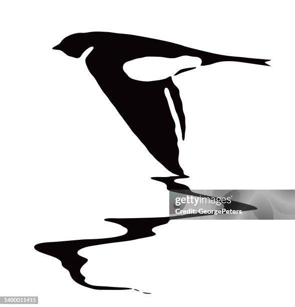 ilustraciones, imágenes clip art, dibujos animados e iconos de stock de golondrina de granero volando sobre el agua - agile logo