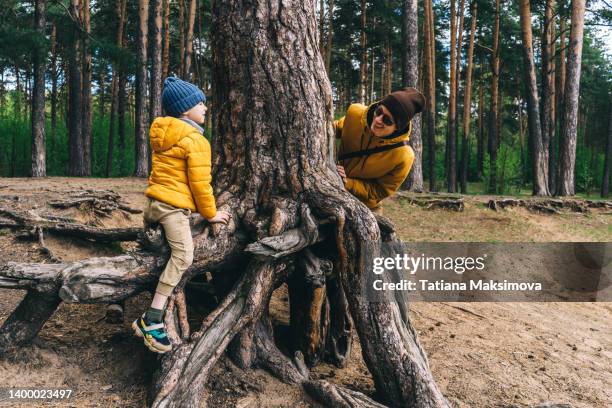 Baby In Tree Roots 499 Family Roots Tree Stock Photos, High-Res Pictures, and Images ...