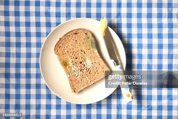 slice of mouldy bread - moldy bread stock pictures, royalty-free photos & images