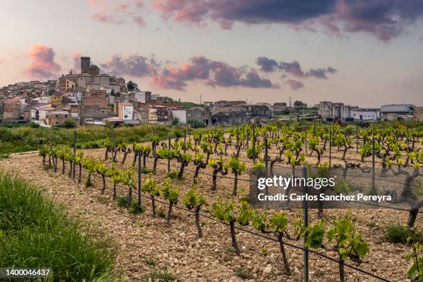 agriculture fields - tarragona stock-fotos und bilder