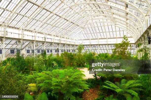 Inside the Temperate House, Royal Botanic Gardens in Kew Gardens on December 6,2019 in London, England.