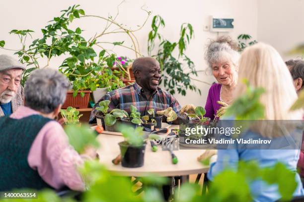 social gardening activity in a residential aged care home - assisted living community stock pictures, royalty-free photos & images