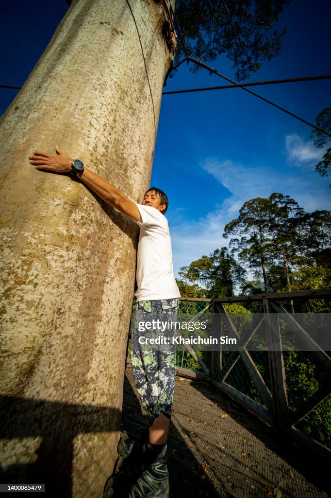 Nature Lover Male Hugging A Big Tree High-Res Stock Photo - Getty Images