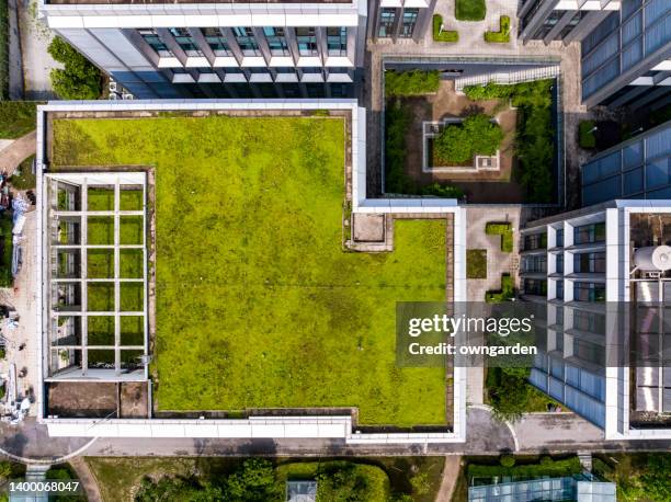 garden on the rooftop - dachterasse stock-fotos und bilder