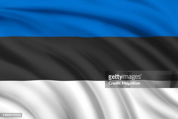 flag of estonia  - estland stock-grafiken, -clipart, -cartoons und -symbole