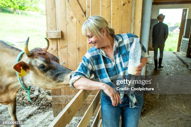 female farmer - farmhouse stock pictures, royalty-free photos & images