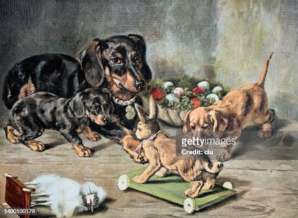 stockillustraties, clipart, cartoons en iconen met dachshunds family looking at the rabbit toy - dashond