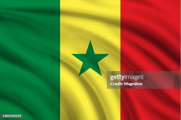 flag of senegal - africa freedom day stock illustrations