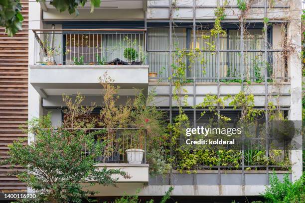 modern residential building balconies decorated with potted plants and ivy vines - creeper stock-fotos und bilder
