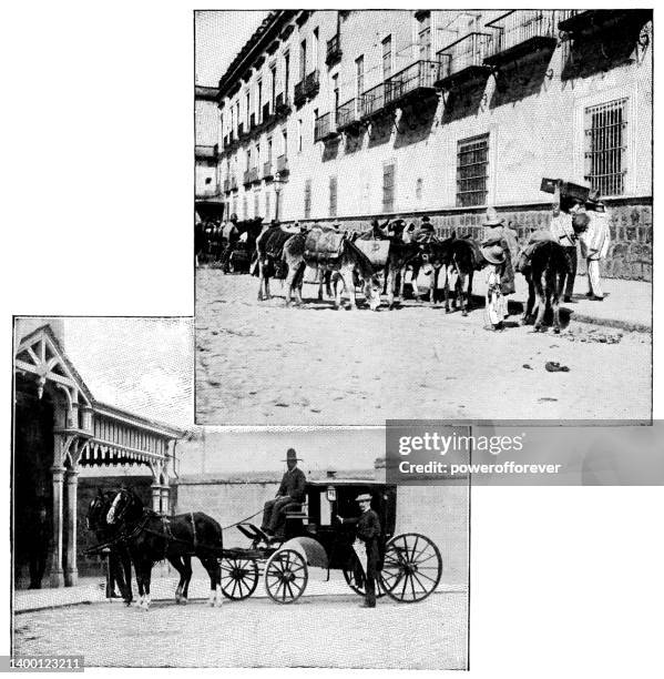 ilustrações de stock, clip art, desenhos animados e ícones de taxi clarence carriage and herd of pack donkeys on the streets of mexico city, mexico - 19th century - cidade do méxico