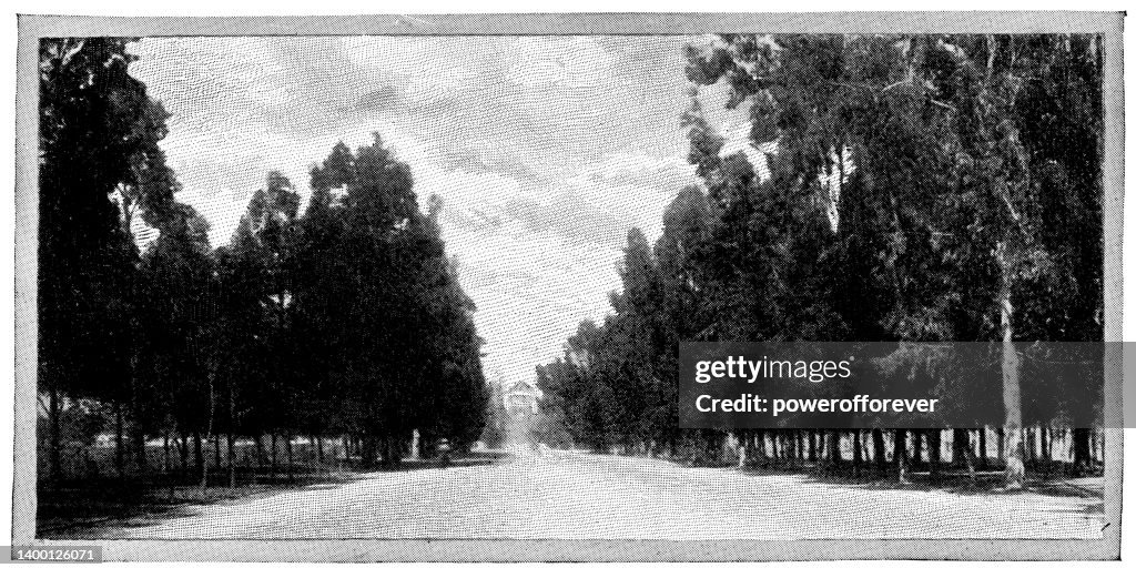 The Paseo de la Reforma (Promenade of the Reform) in Mexico City, Mexico - 19th Century