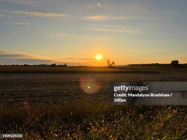 scenic view of field against sky during sunset,logan county,arkansas,united states,usa - v arkansas stockfoto's en -beelden