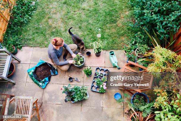 woman sitting in her garden potting plants - jardinería fotografías e imágenes de stock