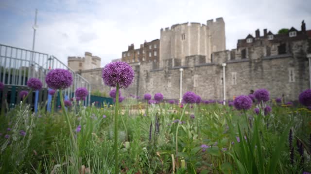 GBR: Queen Elizabeth II Platinum Jubilee 2022 - Preview Of "Superbloom" At The Tower Of London