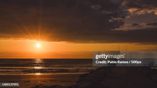 scenic view of sea against sky during sunset,lido de venecia,italy - ecosistema 個照片及圖片檔