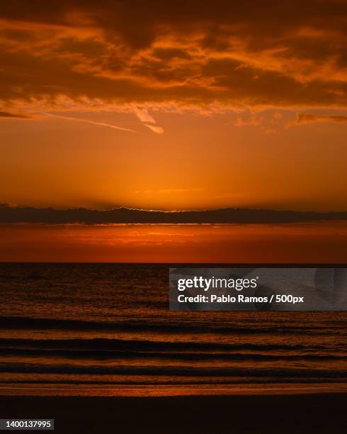 scenic view of sea against sky during sunset,lido de venecia,italy - ecosistema 個照片及圖片檔