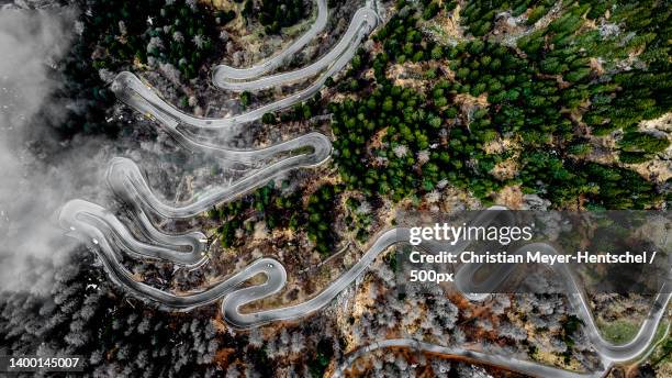 high angle view of winding road amidst trees,passo del maloja,stampa,switzerland - wald frühling stock pictures, royalty-free photos & images