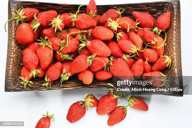 fraise strawberry du ty erdbeere fragaria ananassa - erdbeereis stock pictures, royalty-free photos & images