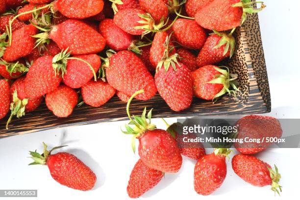 fraise strawberry du ty erdbeere fragaria ananassa - erdbeereis stock pictures, royalty-free photos & images