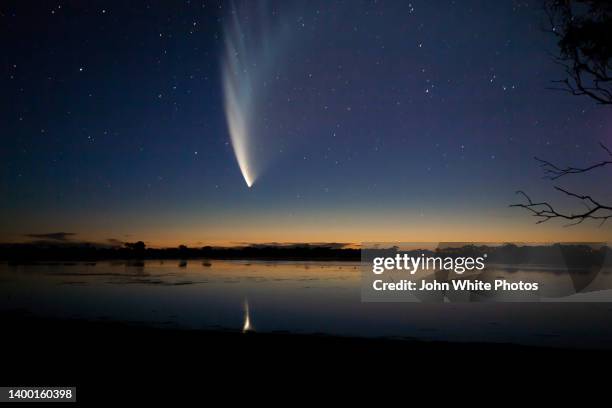 comet in the night sky - comet fotografías e imágenes de stock