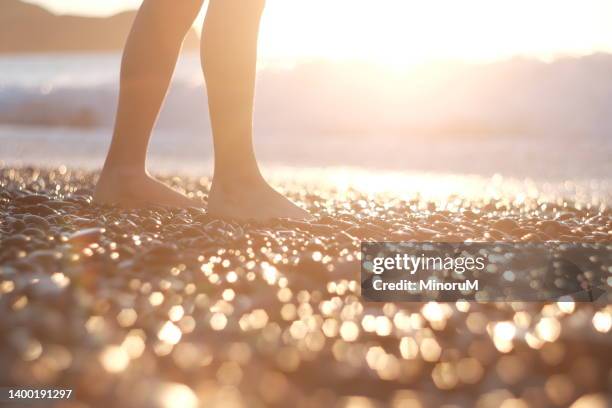 boy walking by the seaside in morning glow - beachcombing stock pictures, royalty-free photos & images