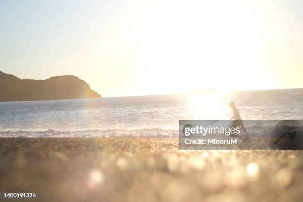 boy walking by the seaside in morning glow - sparkle children stock pictures, royalty-free photos & images