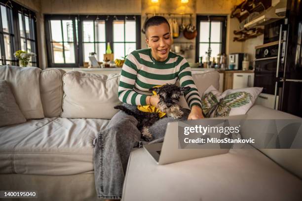 smiling woman with pet dog using computer - schnauzer stock pictures, royalty-free photos & images