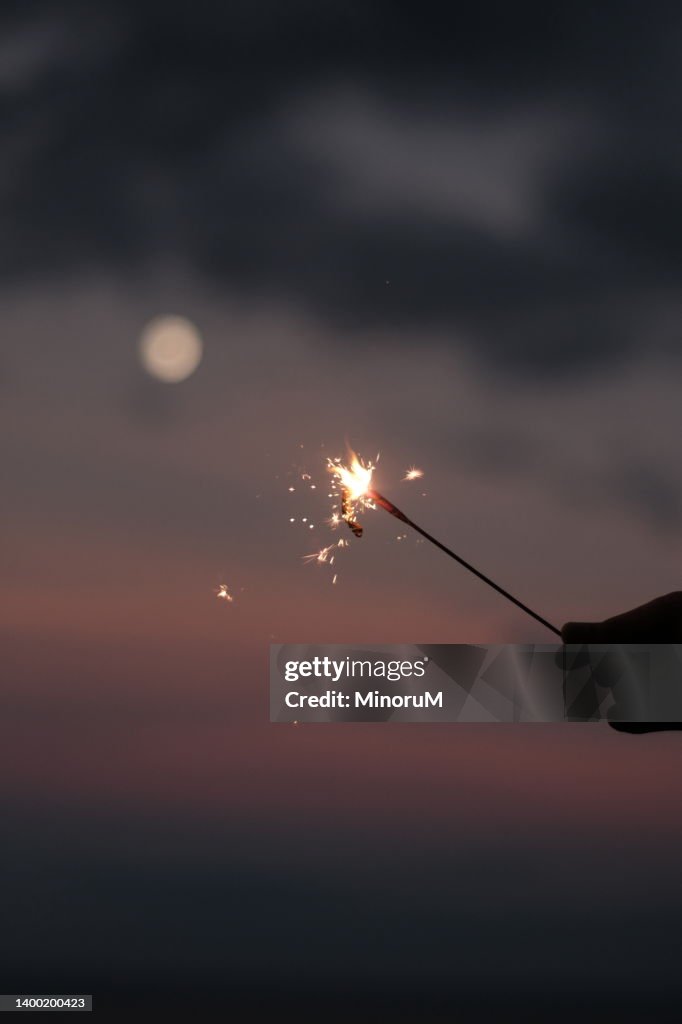 Close up sparkling in the evening glow and the moon