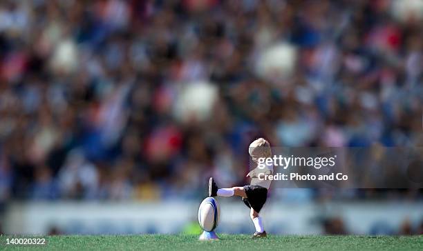 young boy with his foot on a rugby ball - campo de râguebi imagens e fotografias de stock