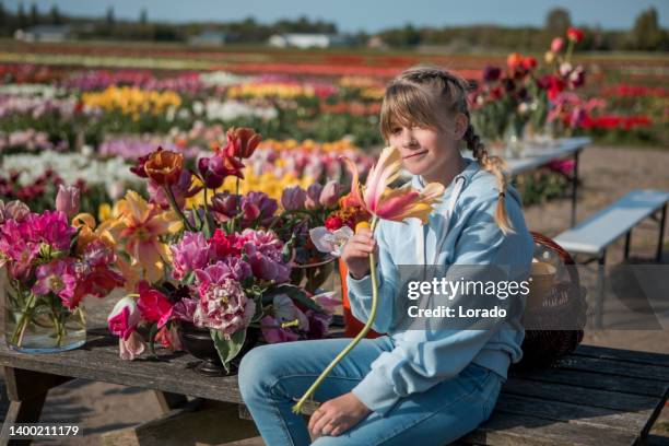 beautiful dutch girl at a tulip farm - national girl child day stock pictures, royalty-free photos & images