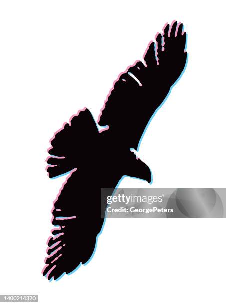 stereoscopic illustration of hawk flying - red shouldered hawk stock illustrations