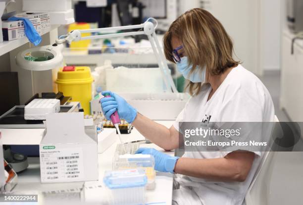 Laboratory technician works with PCR tests at the Microbiology Laboratory of the Gregorio Marañon public hospital, May 31 in Madrid, Spain. The...