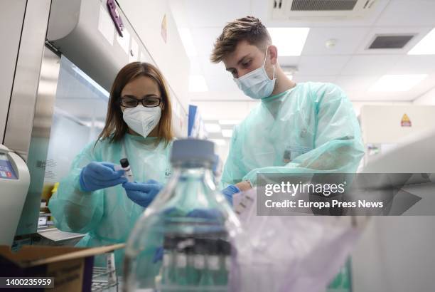 Several laboratory technicians work with PCR tests at the Microbiology Laboratory of the Gregorio Marañon Public Hospital, on 31 May, 2022 in Madrid,...