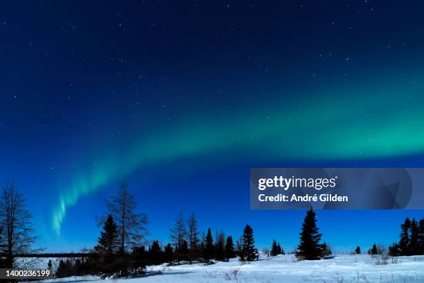 northern lights - manitoba ストックフォトと画像