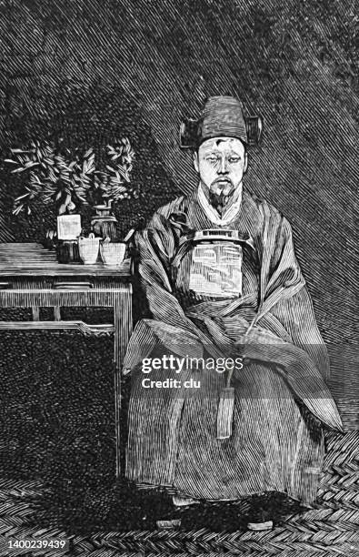 korean mandarin - mandarin language stock illustrations