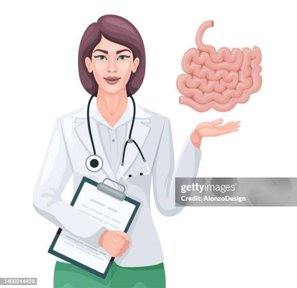 ilustrações, clipart, desenhos animados e ícones de doutora mostrando intestino delgado. - intestino delgado