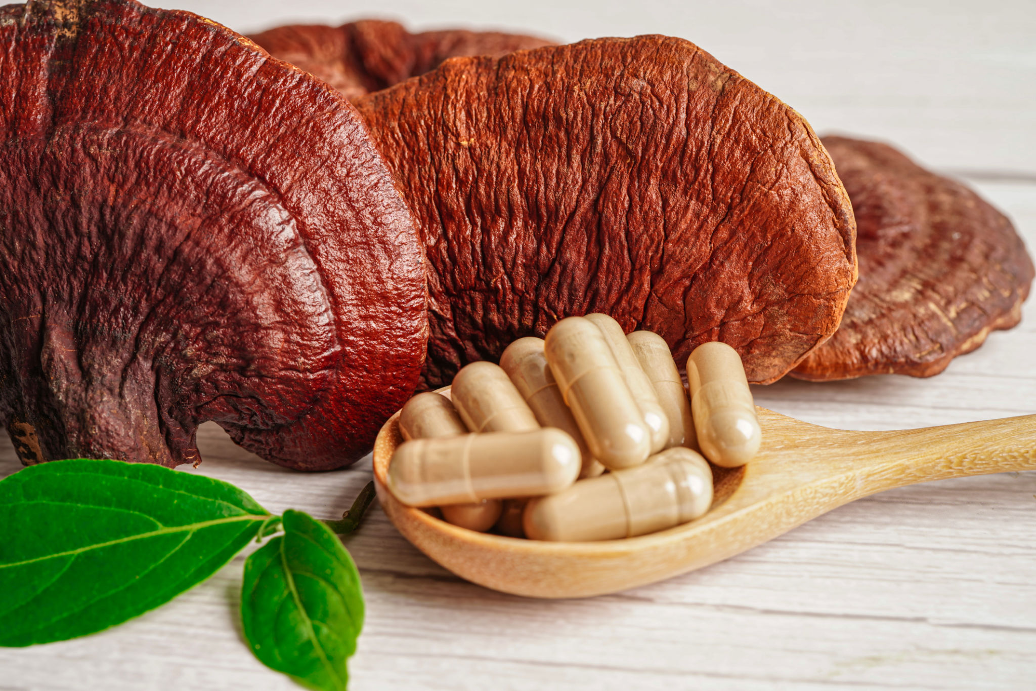 mushroom supplements